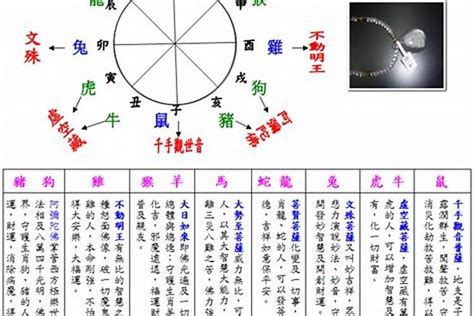 2003五行属什么|2003年属羊是什么命五行属什么？属羊人的性格与运势全解析